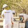 Bulgaria's Webit invests $500000 in U.S.-based BeeHero