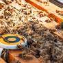 BeeHero aims for more control outside the hive with the launch of a new  pollination insights platform