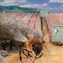 Bees Get Boost With Healthy Hive Assessment