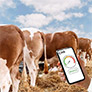 CH4 Global recognised with two SEAL Awards for methane reduction innovation