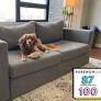 Elephant In A Box Working Sofa Review